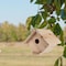 Audubon 6.25 in. H X 6.8 in. W X 7.13 in. L Red Cedar Bird House NAWREN1N - alternate 2